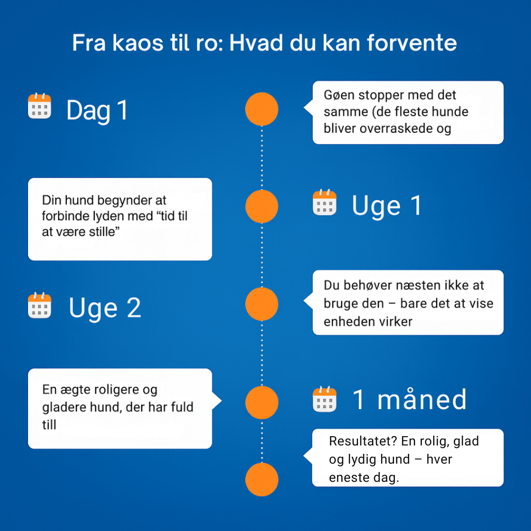 LydLyn | Stop hundens skælden med ét klik